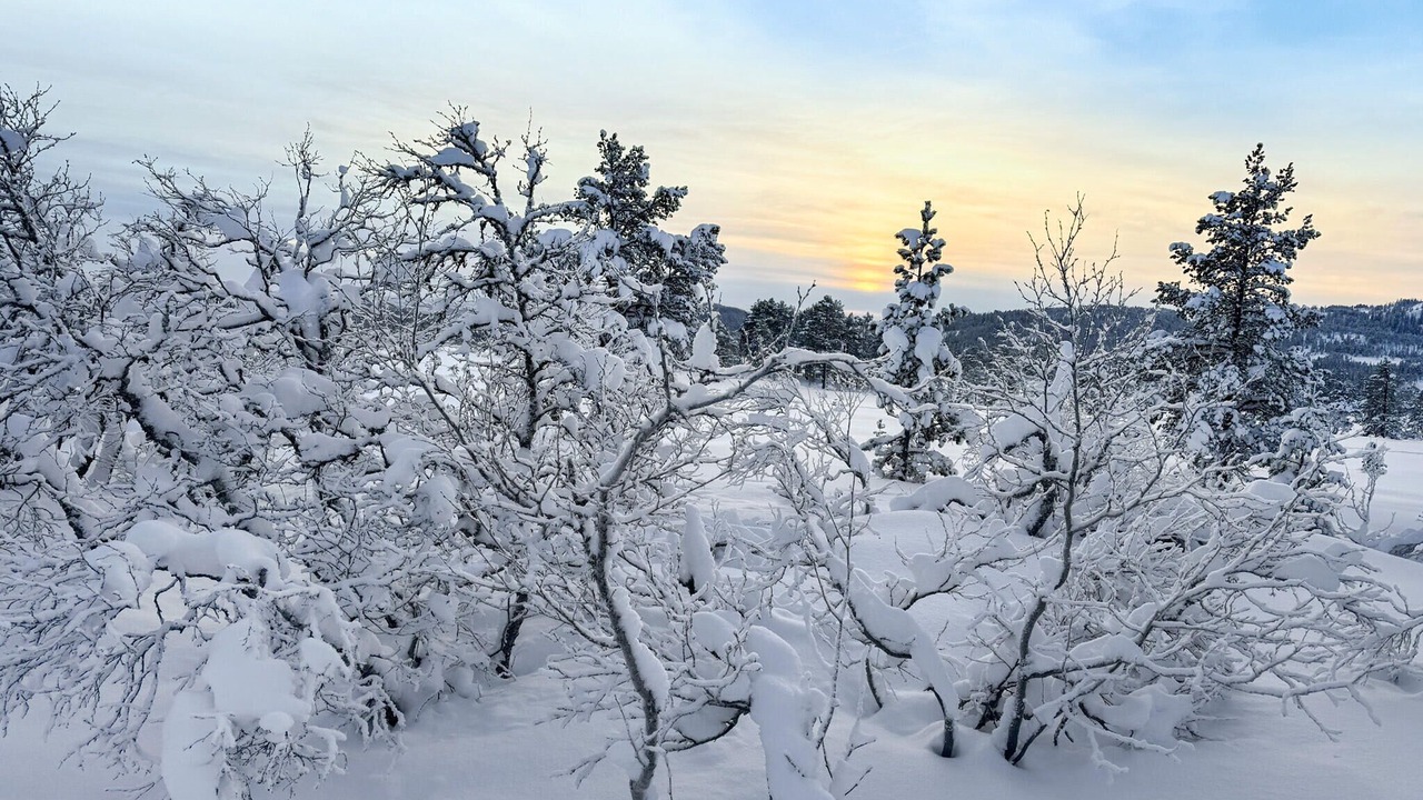 Photo of Others in Orkdal