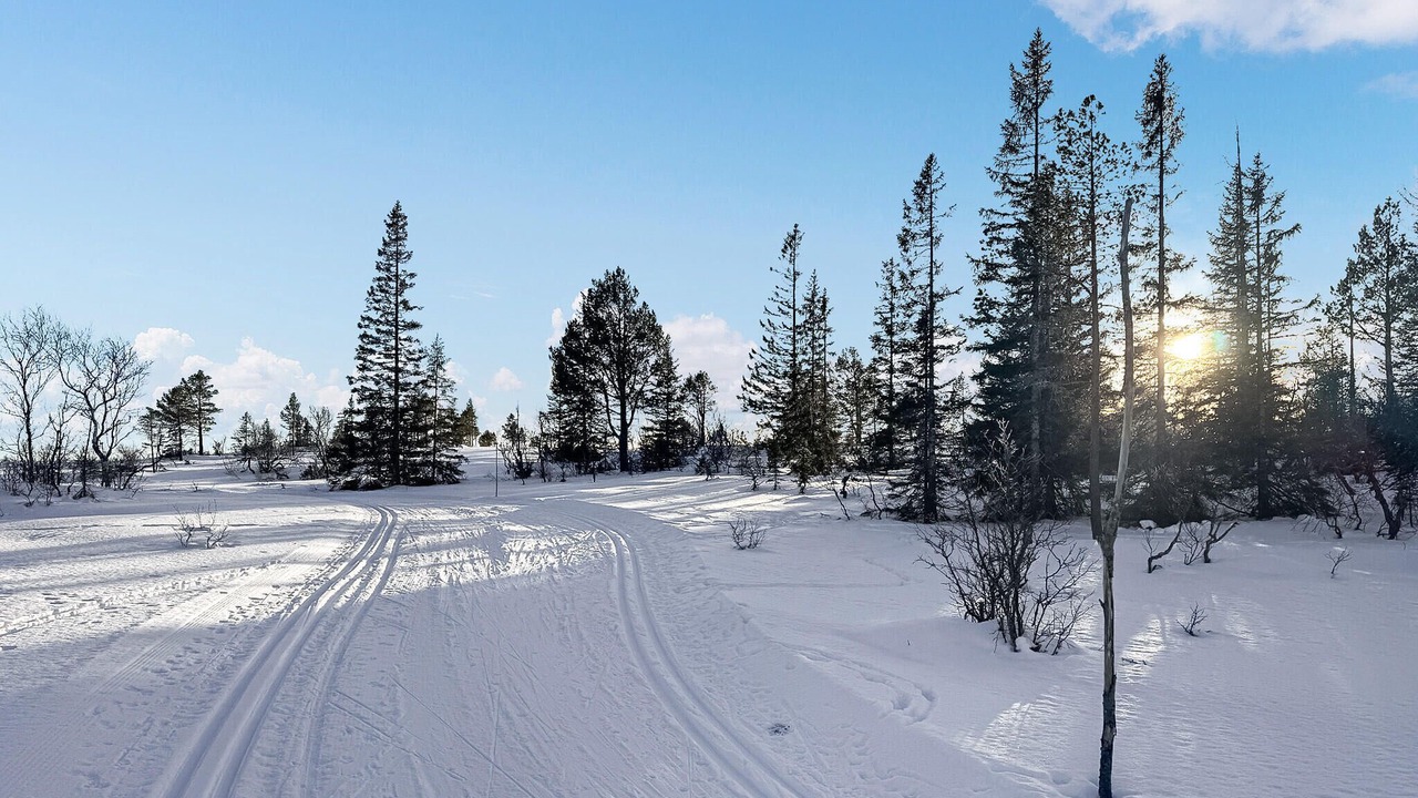 Photo of Others in Orkdal