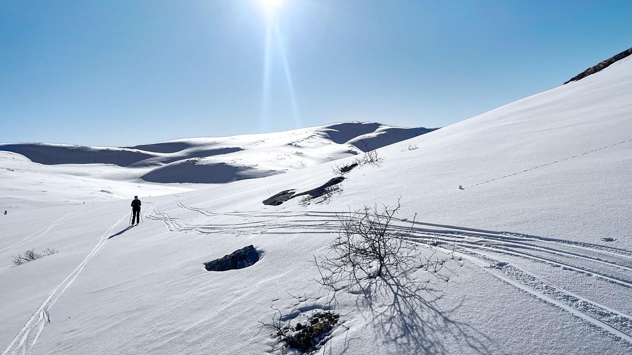 Photo of Others in Orkdal