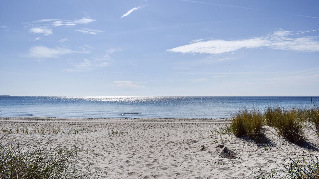 Photo of Others in Ystad