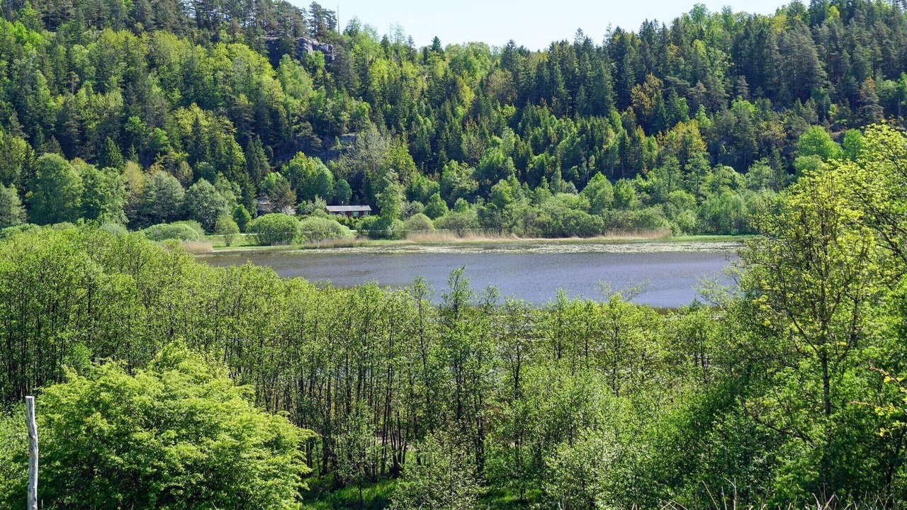 Photo of Outdoor in Hallevadsholm