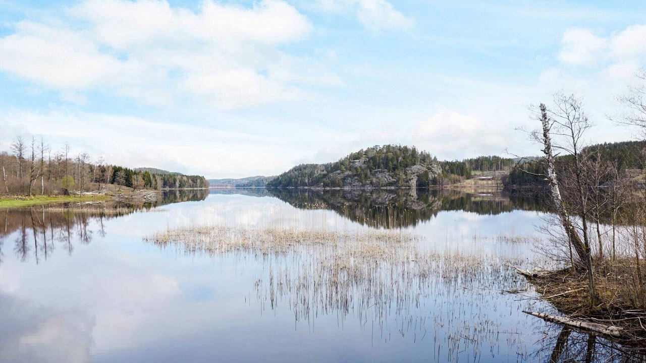 Photo of Others in Hallevadsholm