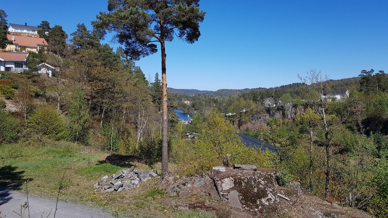 Photo of Bedroom in Tvedestrand