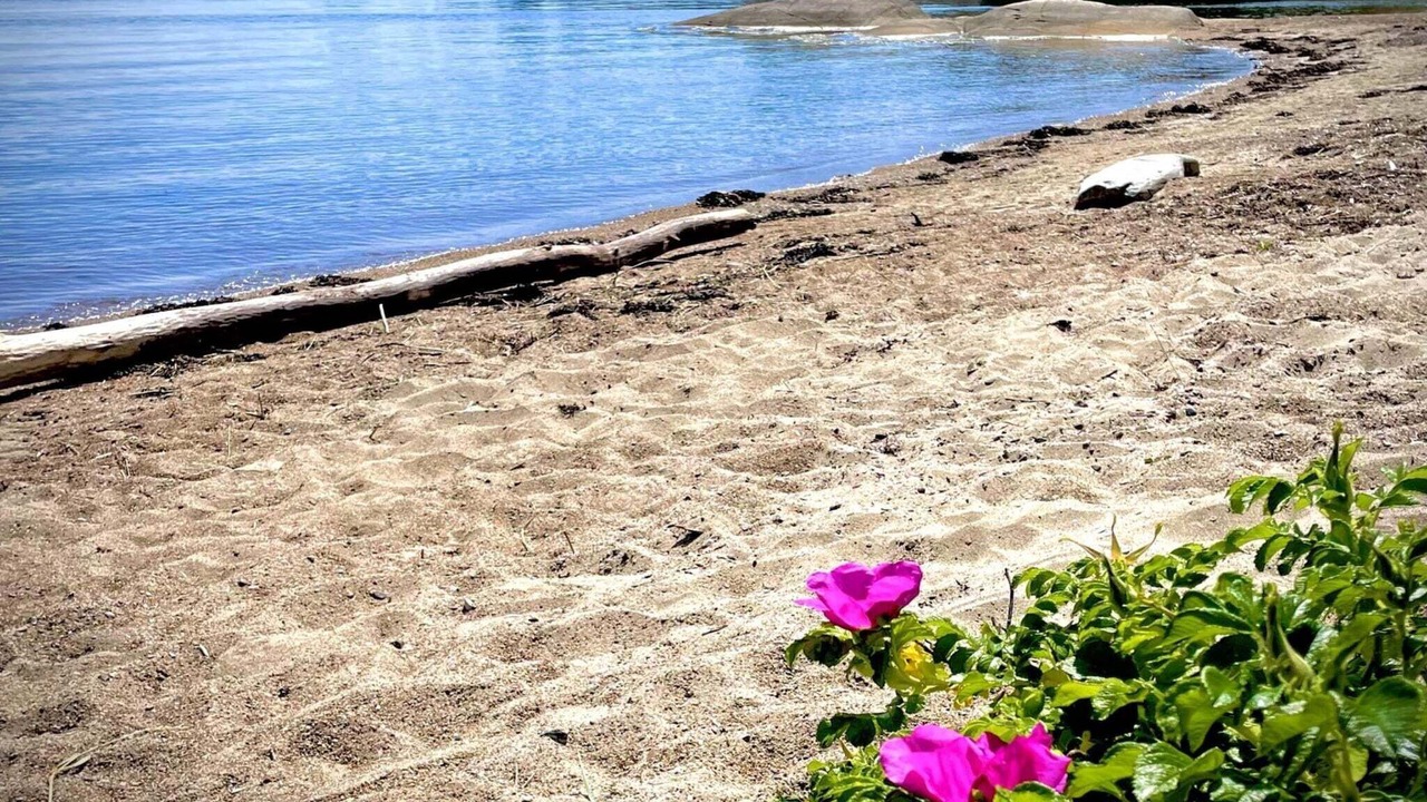 Photo of Others in Hvaler