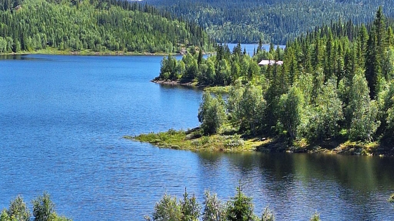 Photo of Others in Seljord