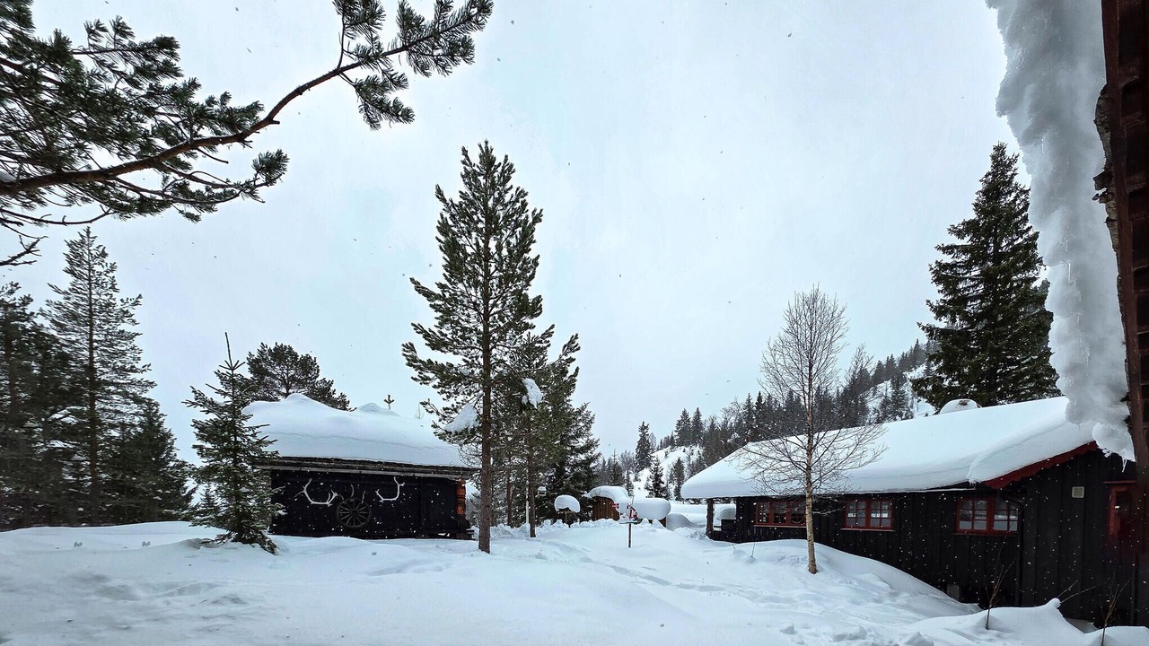 Photo of Others in Seljord
