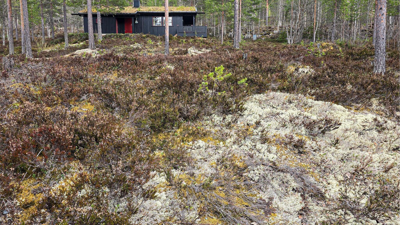 Photo of Others in Akrestrømmen