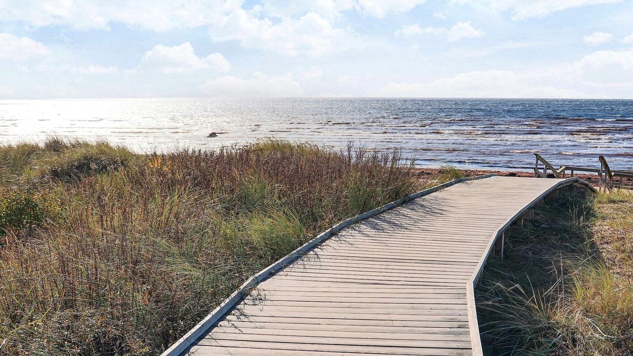 Photo of Others in Halmstad