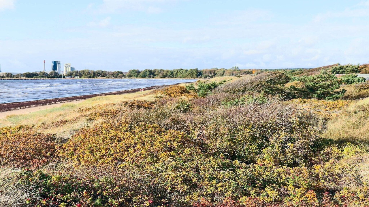 Photo of Others in Halmstad