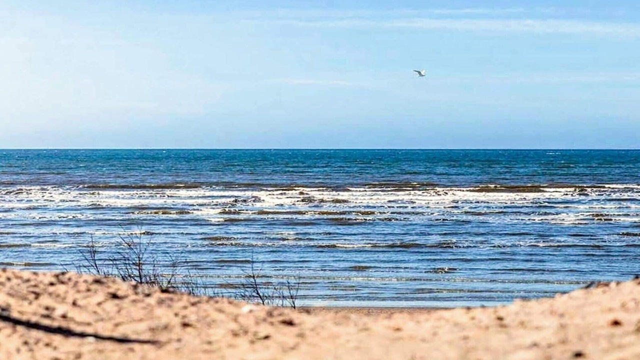 Photo of Others in Halmstad