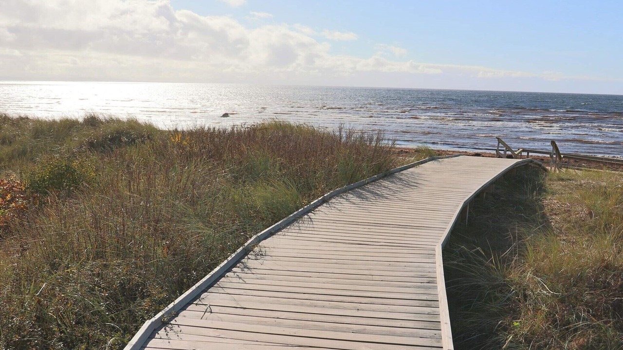 Photo of Others in Halmstad