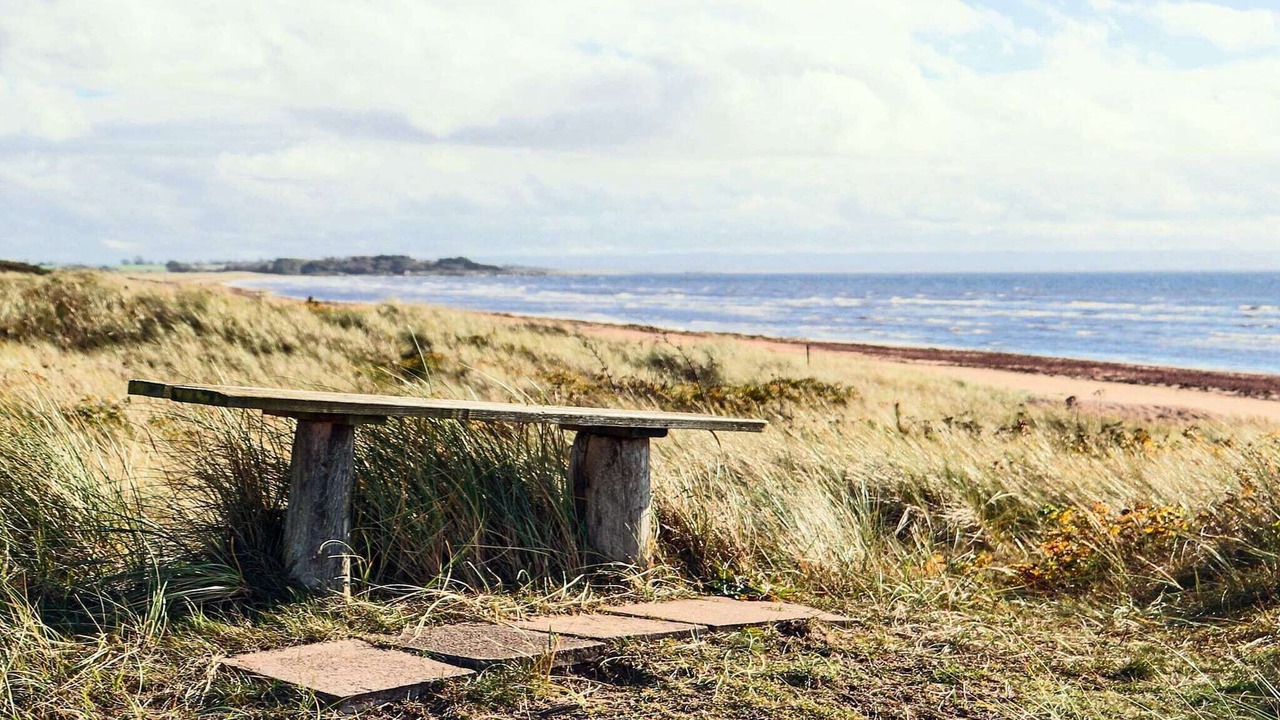 Photo of Others in Halmstad