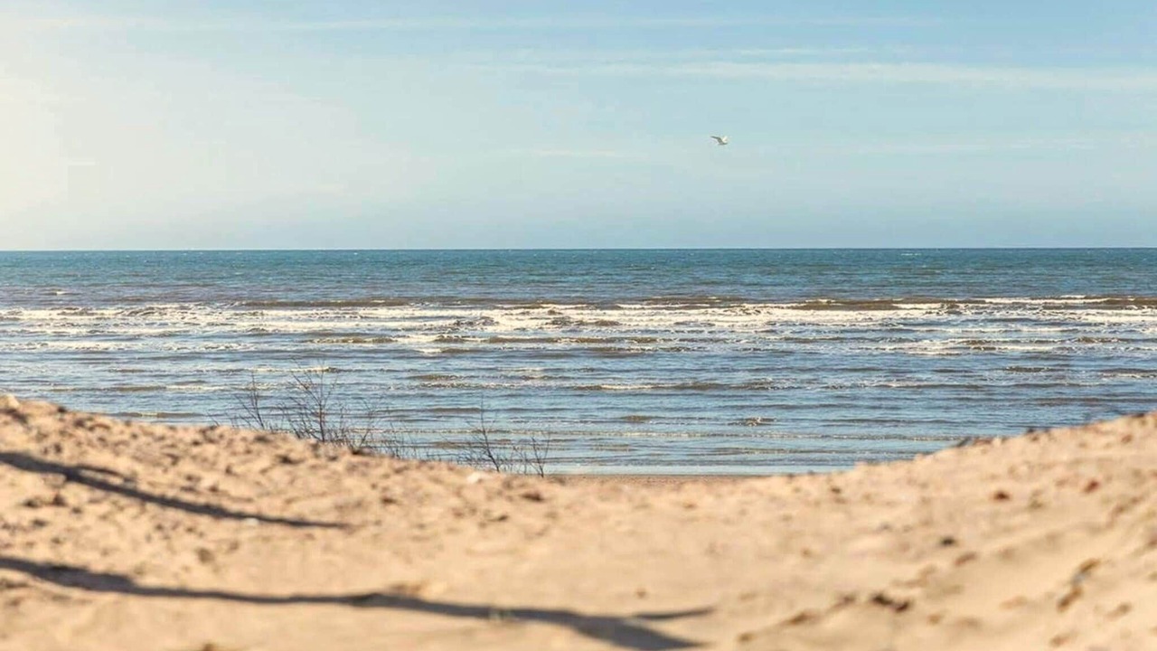 Photo of Others in Halmstad