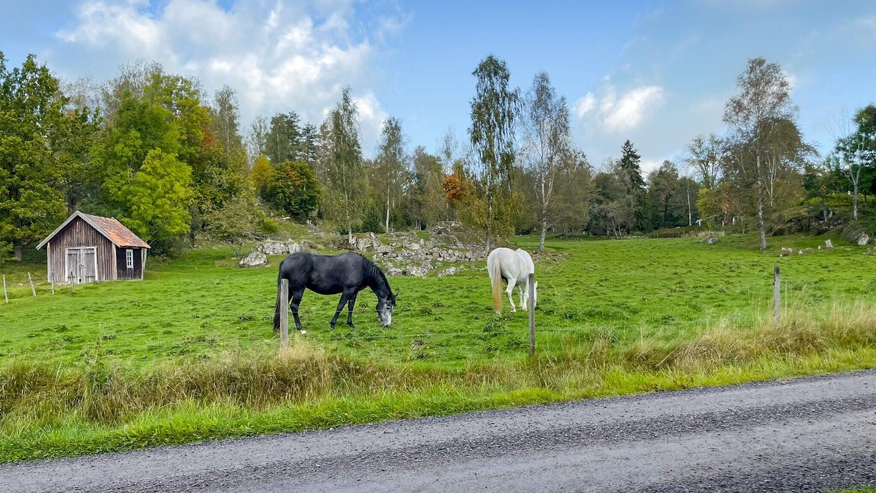 Photo of Others in Askersund