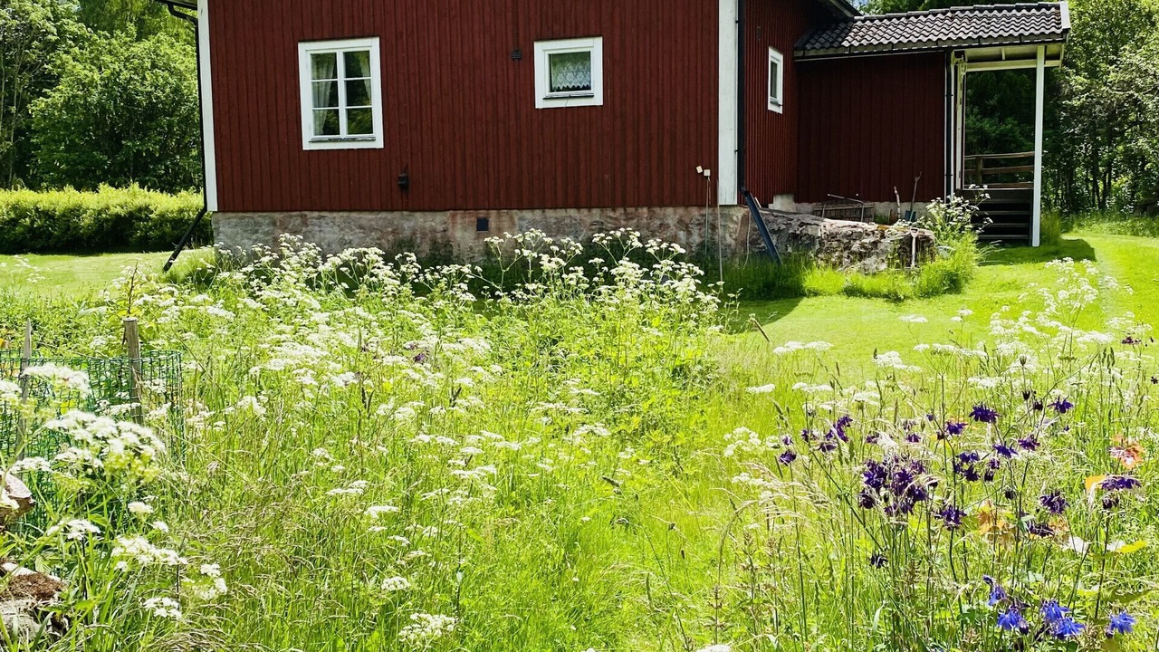Photo of Outdoor in Tingsryd