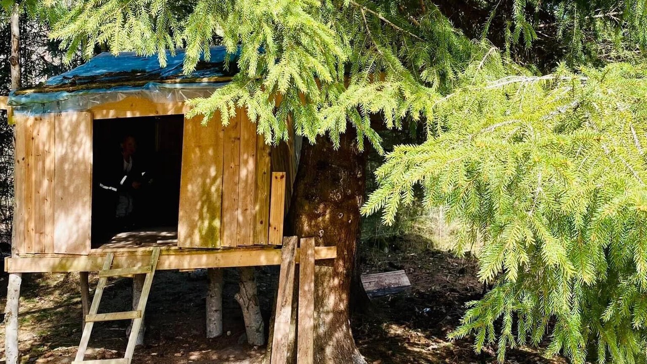 Photo of Outdoor in Tingsryd