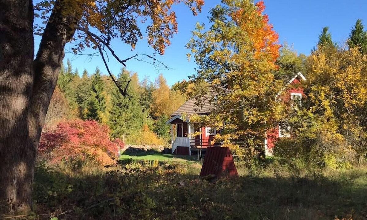 Photo of Outdoor in Tingsryd