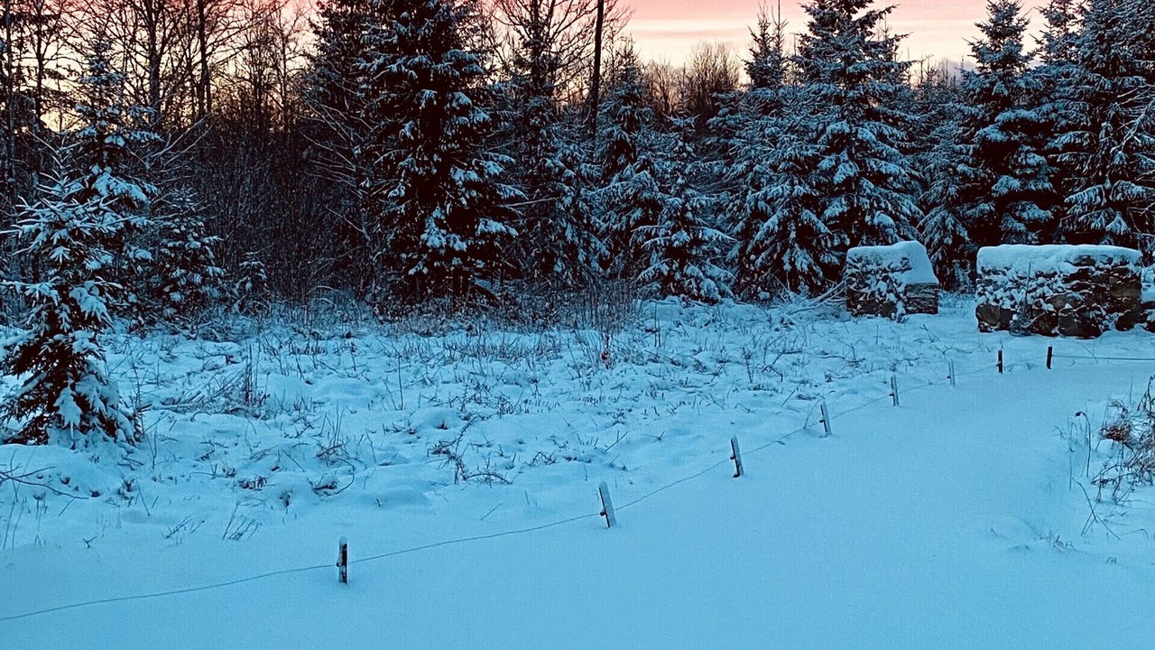 Photo of Others in Tingsryd