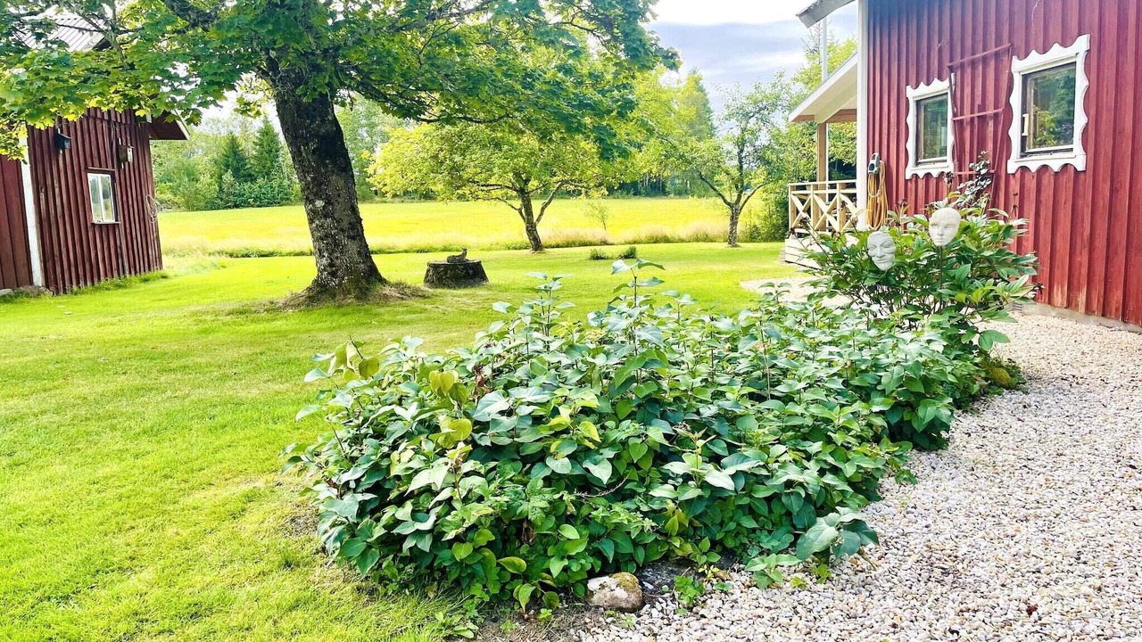 Photo of Outdoor in Bralanda