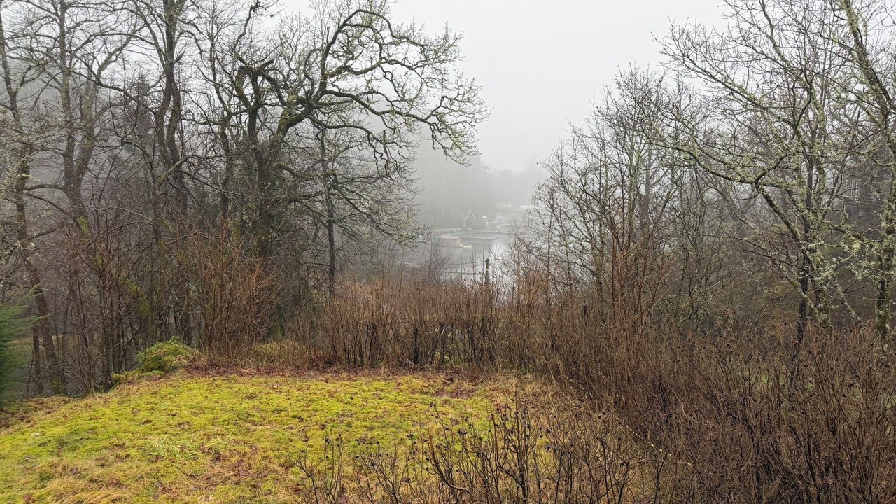 Photo of Others in Ytrebygda