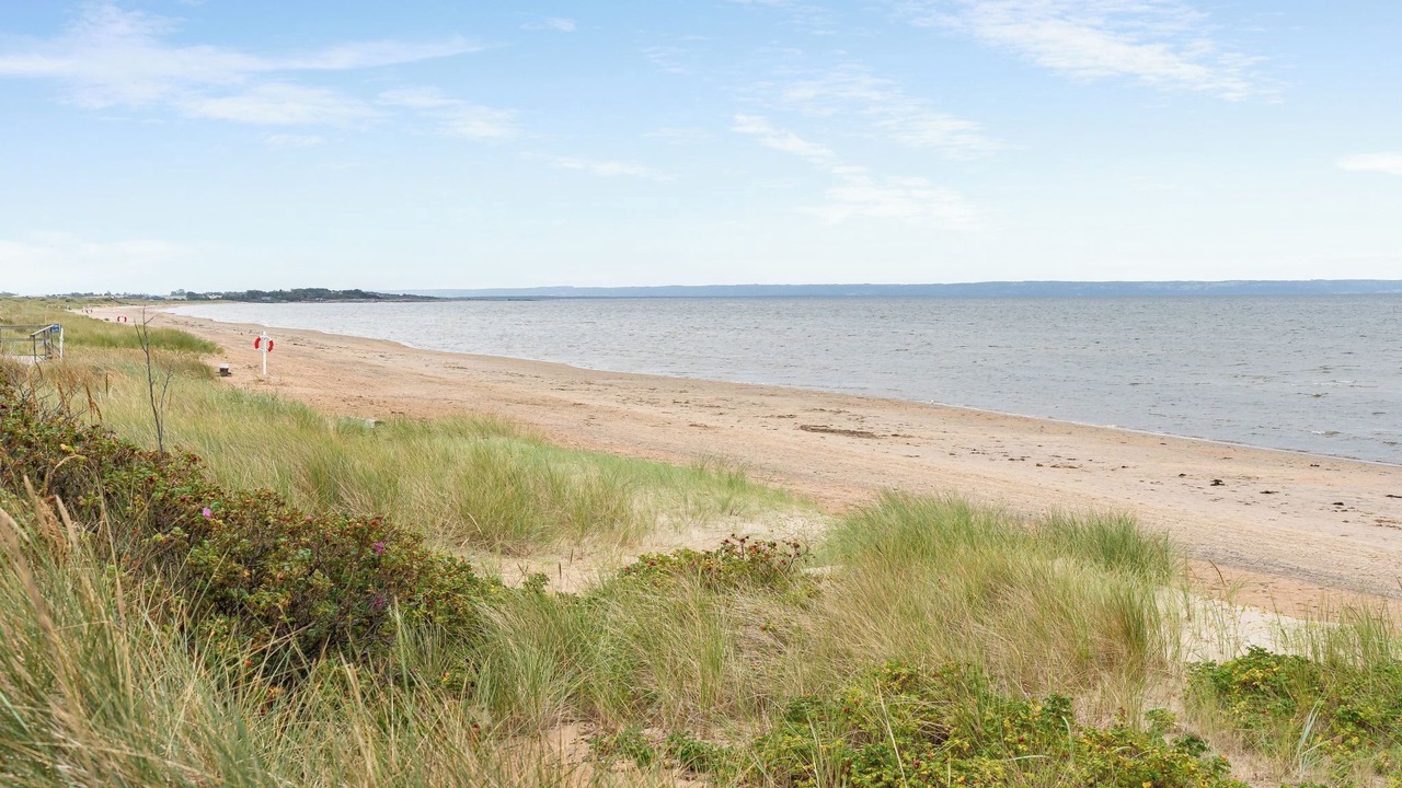 Photo of Others in Halmstad