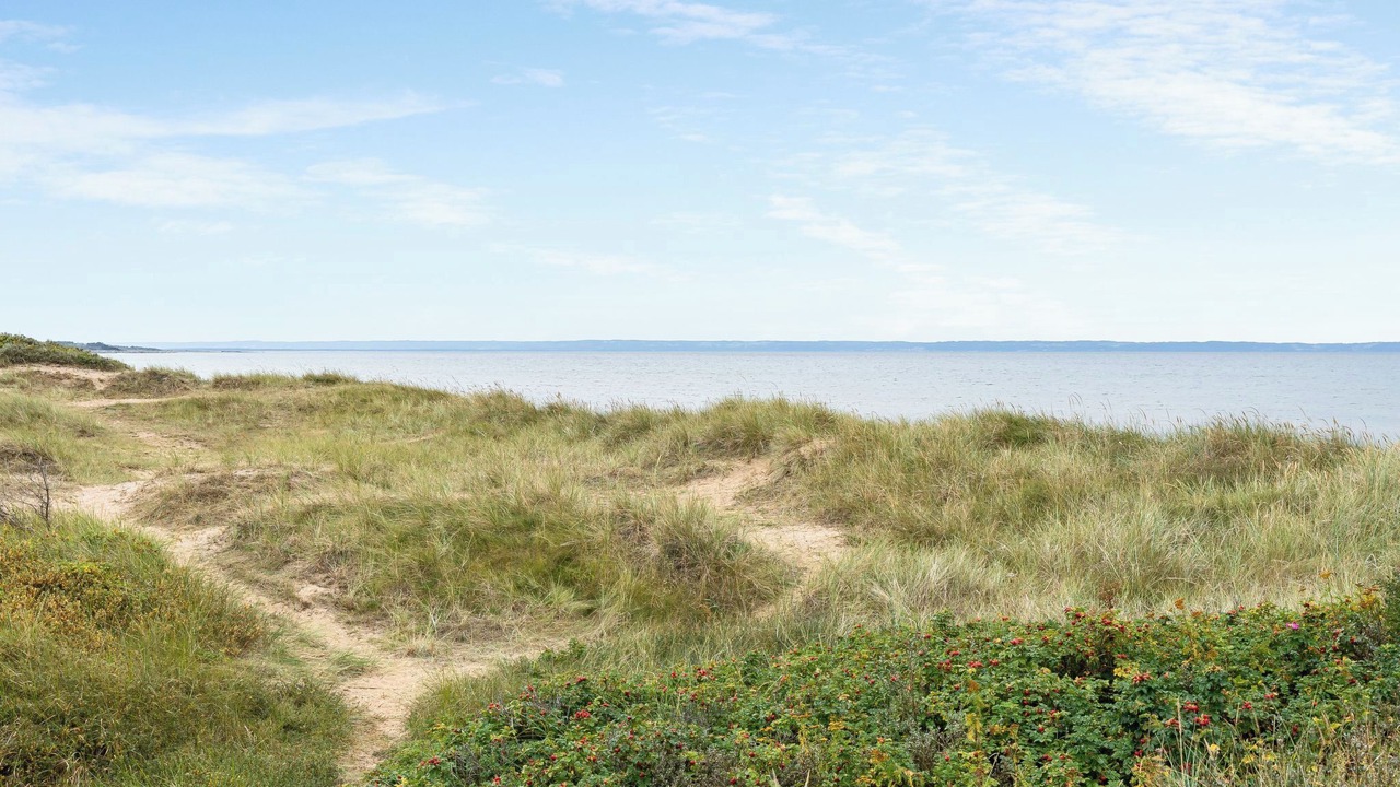 Photo of Others in Halmstad