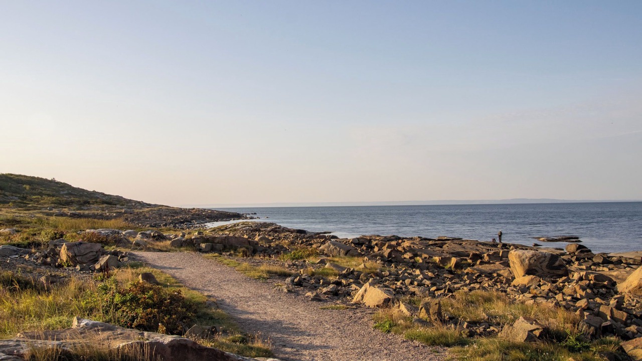 Photo of Others in Halmstad