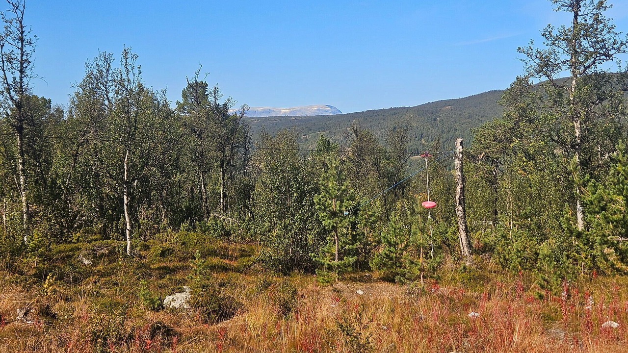 Photo of Others in Uvdal