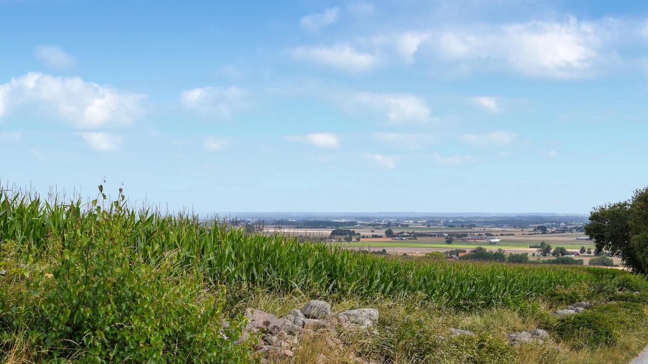 Photo of Others in Kvidinge