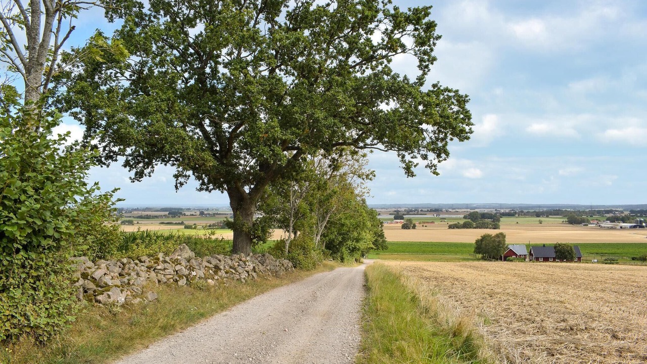 Photo of Others in Kvidinge