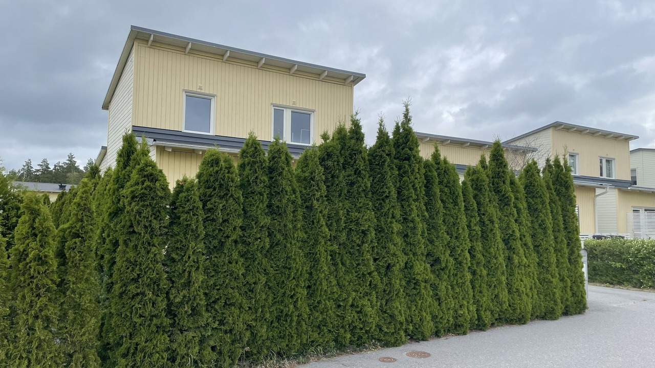 Photo of Outdoor in Steningehojden