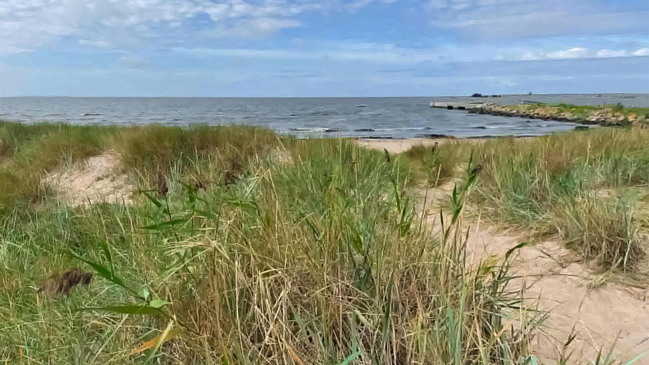 Photo of Others in Gotlands Tofta