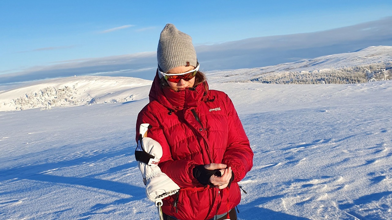 Photo of Others in Verdal