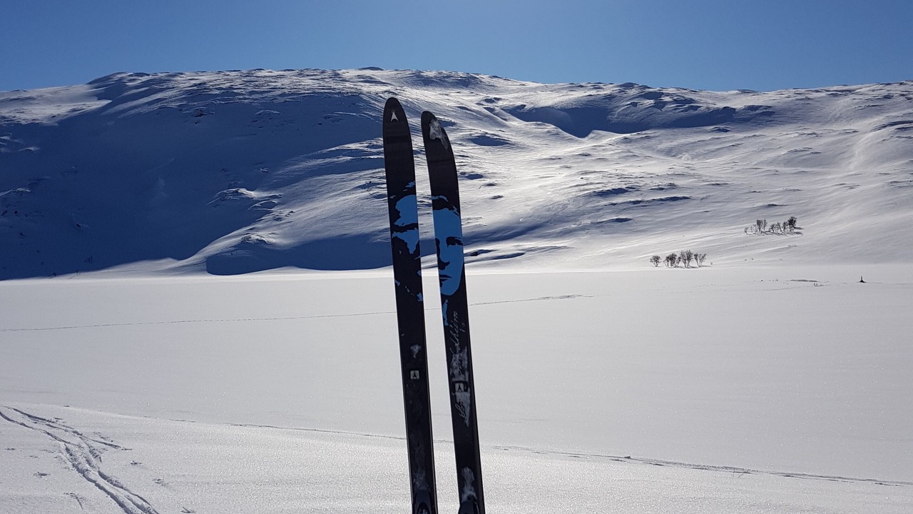 Photo of Others in Verdal