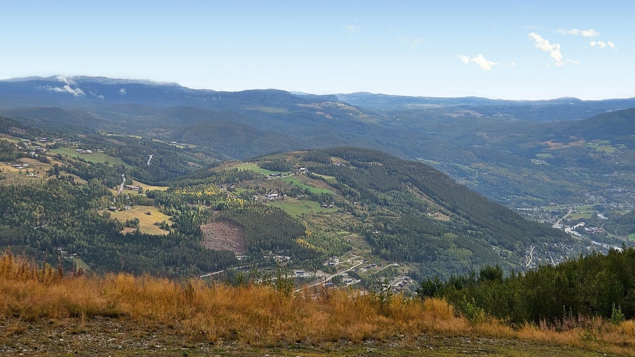 Photo of Others in Gol