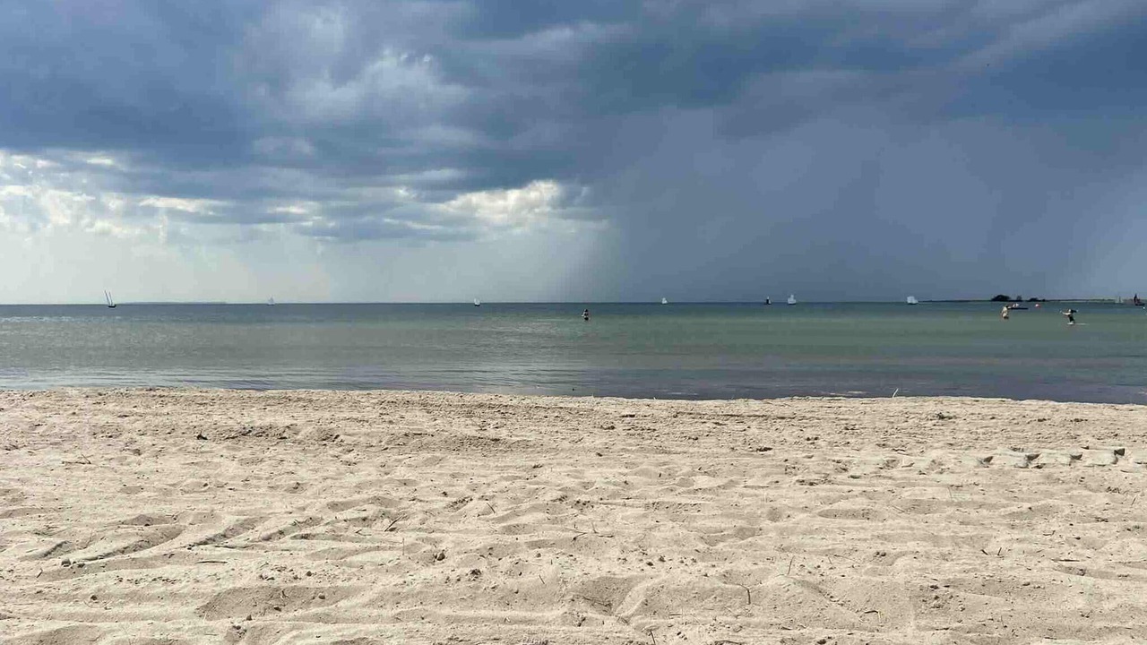 Photo of Others in Gotlands Tofta