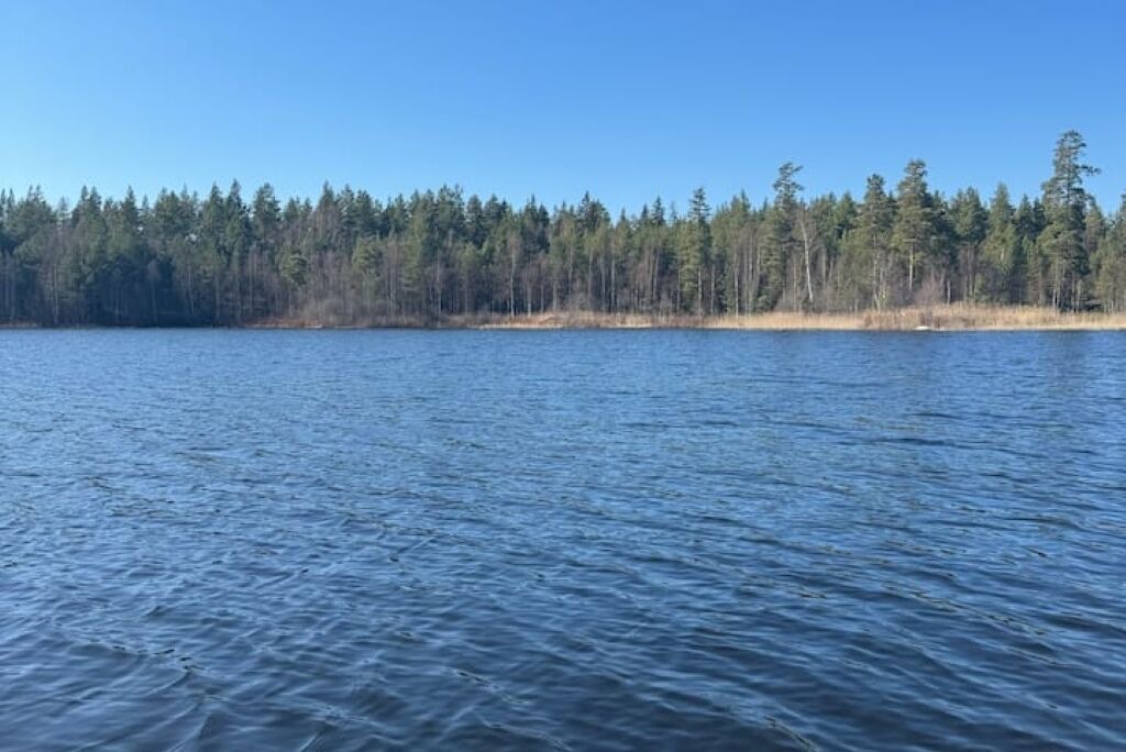 Photo of Others in Vimmerby Municipality