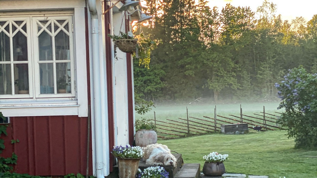 Photo of Outdoor in Sandared