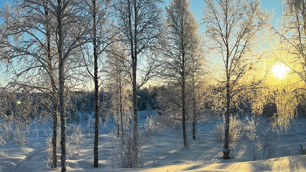 Photo of Others in Inari