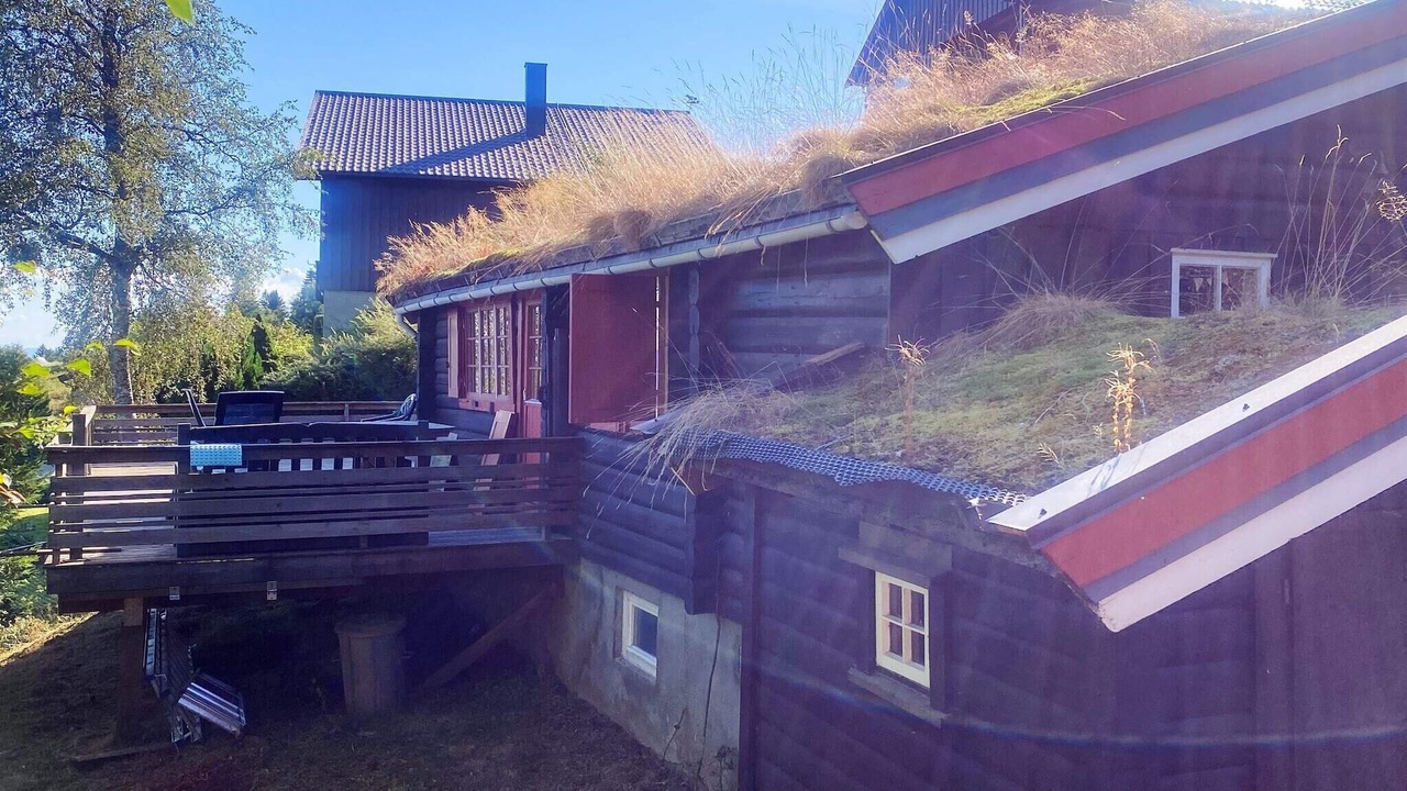 Photo of Outdoor in Leksvik