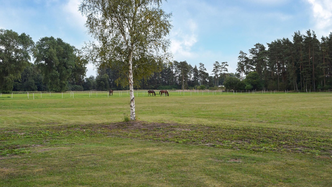 Photo of Others in Everod