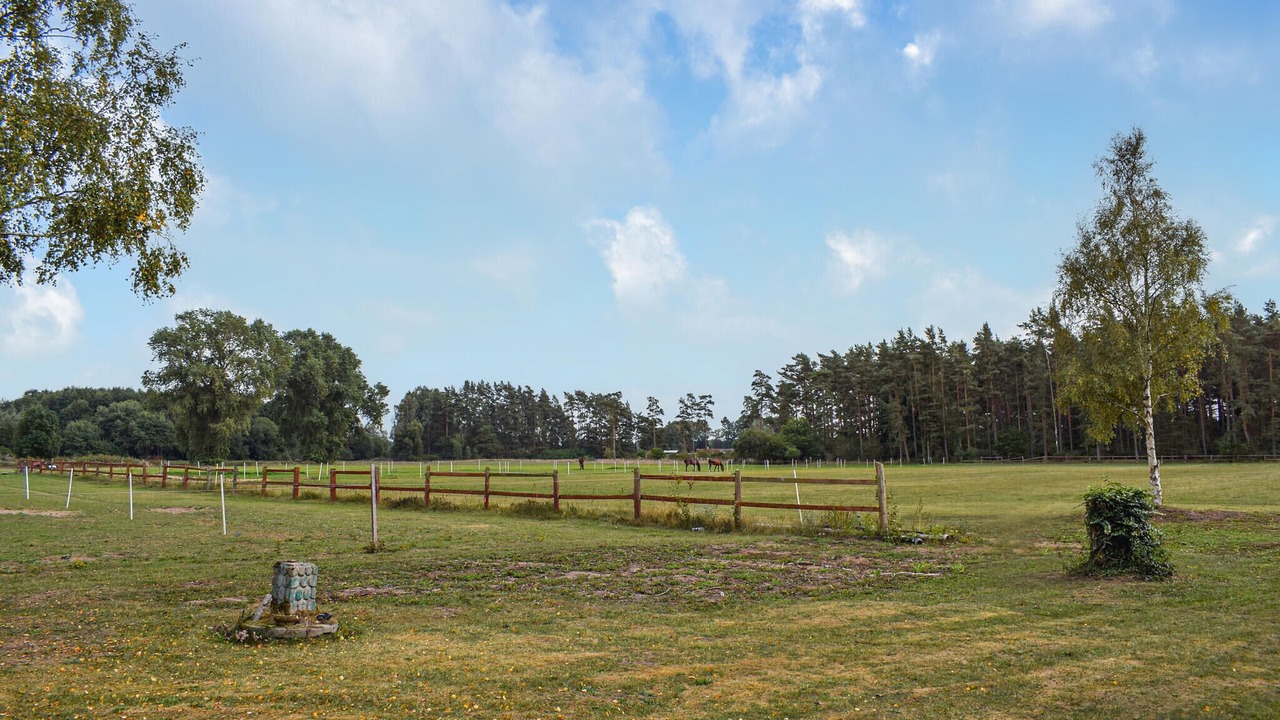 Photo of Others in Everod