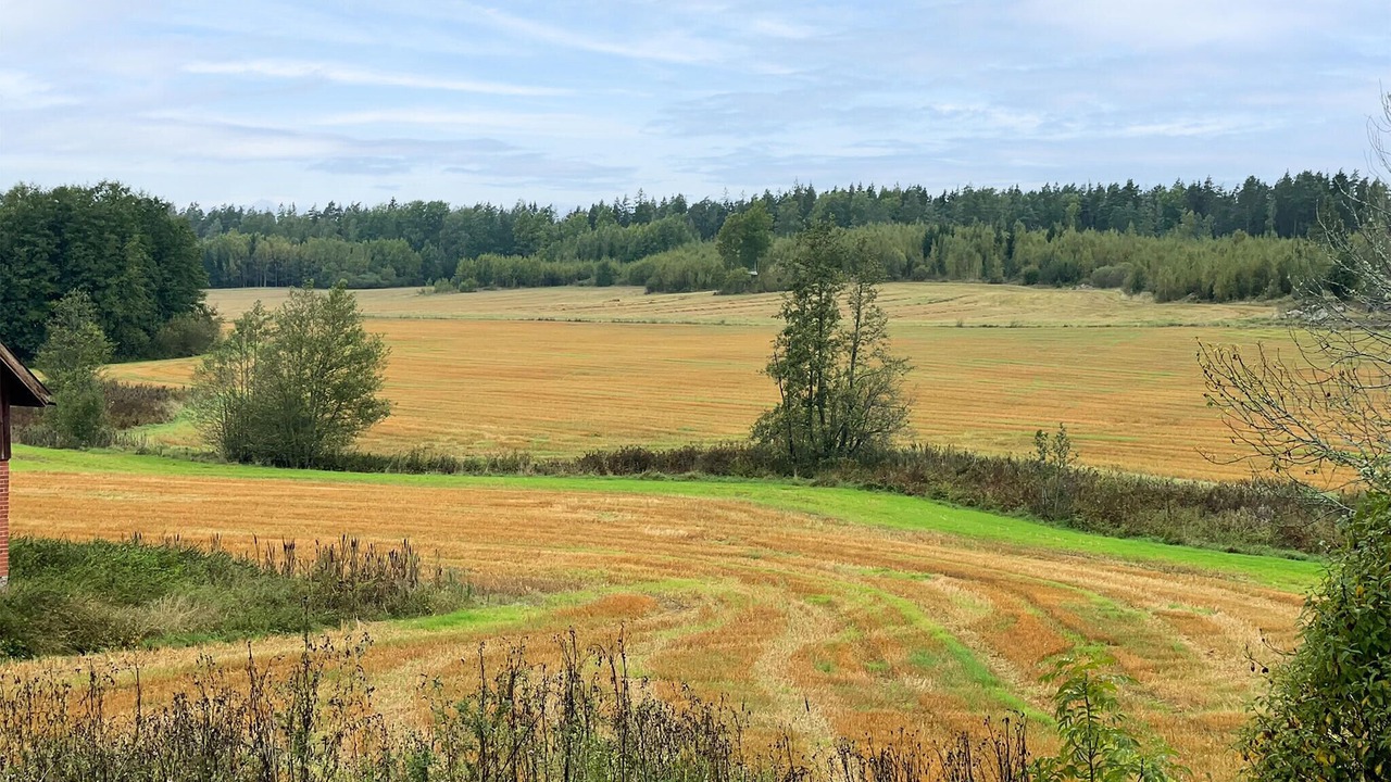 Photo of Others in Arboga