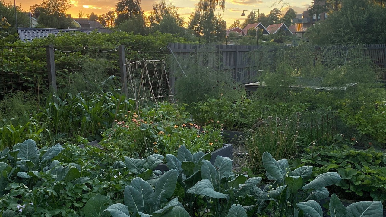 Photo of Outdoor in Lerum