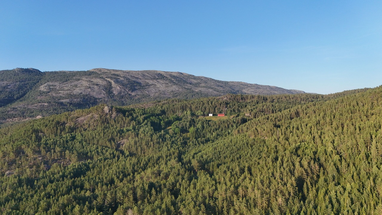 Photo of Others in Kviteseid