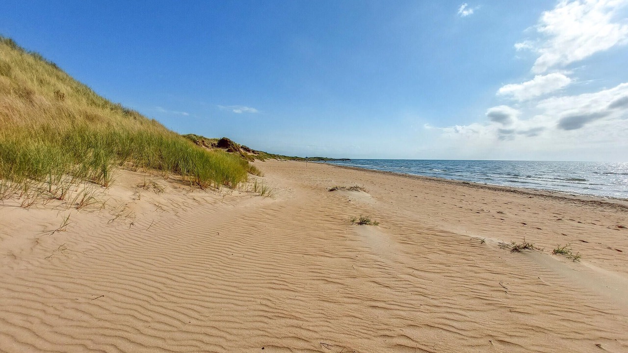 Photo of Others in Falkenberg