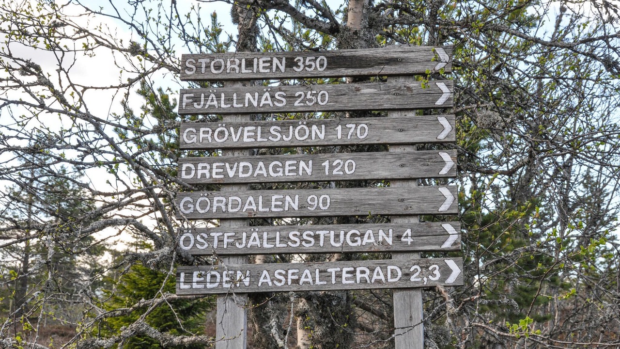 Photo of Others in Salen