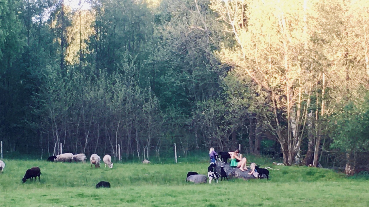 Photo of Others in Billinge