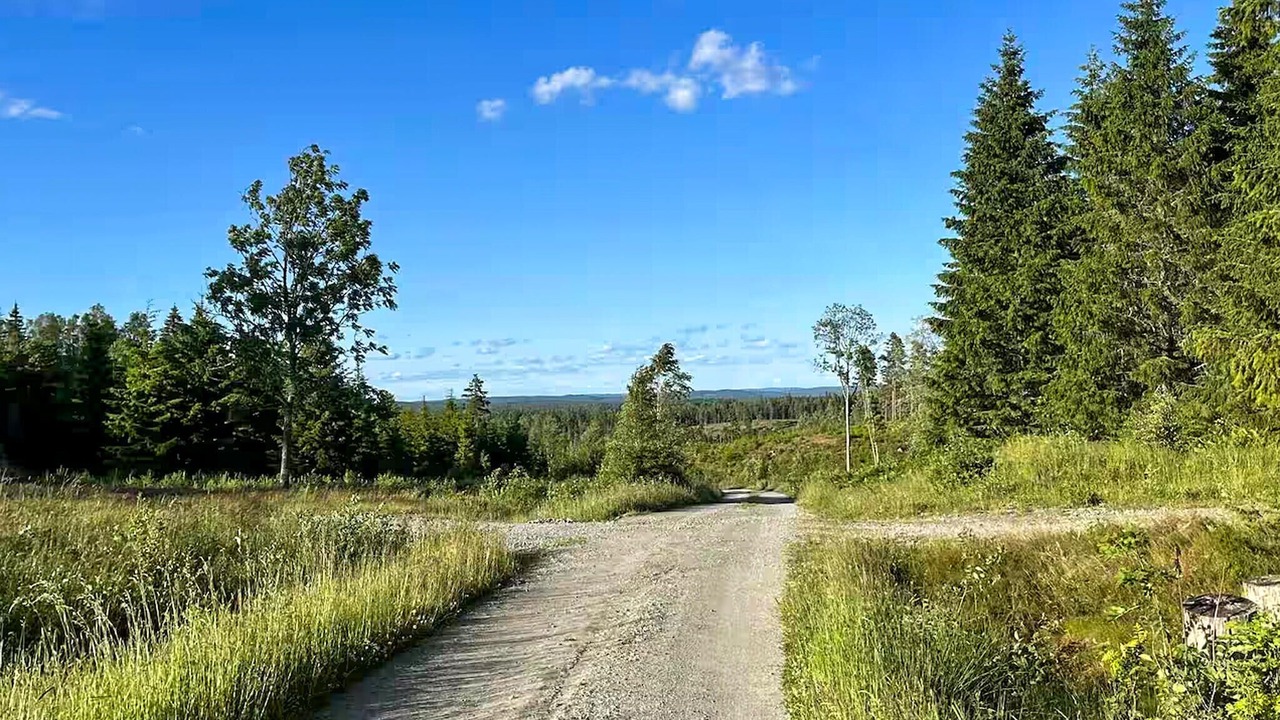 Photo of Others in Bengtsfors Municipality