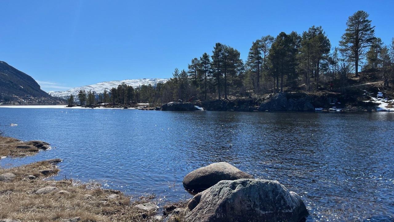 Photo of Others in Hovden